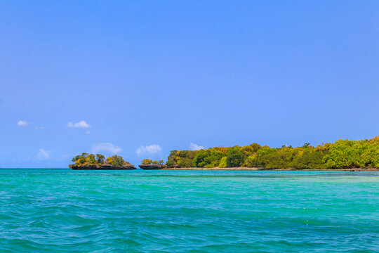 Mangroves in the lagoon of Kwale island. This is a small islet in the south of Zanzibar, Tanzania