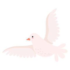 dove bird icon isolated