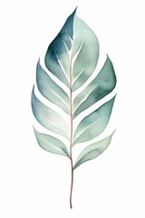 Simple boho leaf image isolated on white. Watercolor style.