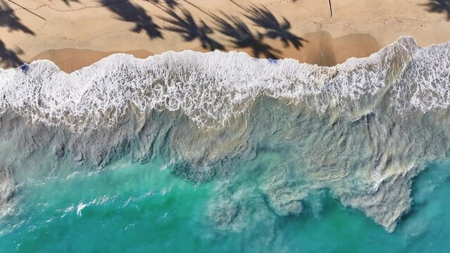 Sandy sea beach with waves as background from above. Summer seascape from the air. Amazing tropical nature background. Shadows of palm trees on the sand. Turquoise on gold.