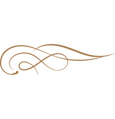 vintage flourish ornaments frame swirls and scrolls decorations retro design vector