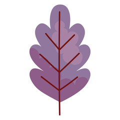 Obraz premium autumn season leaf dry