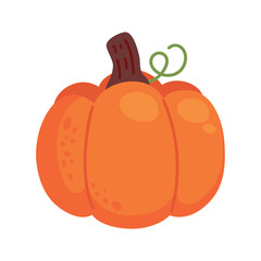 autumn season pumpkin
