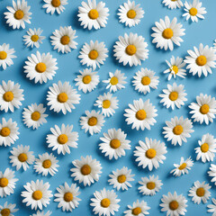 Daisy pattern. Flat lay spring and summer chamomile flowers on a blue background. Repetition concept. Top view. AI generative.