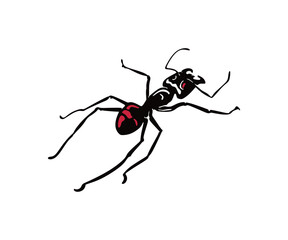 GYNOMIRMEX GIGAS ANT LOGO, great silhouette of great ant standing vector illustrations