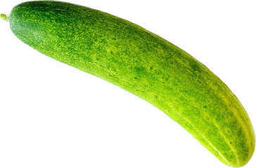cucumber isolated on white