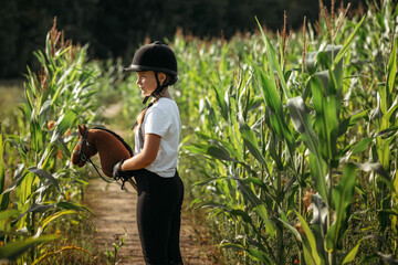Portrait of a jockey girl in a helmet and a white t-shirt, who sits on a brown toy horse in a corn field.