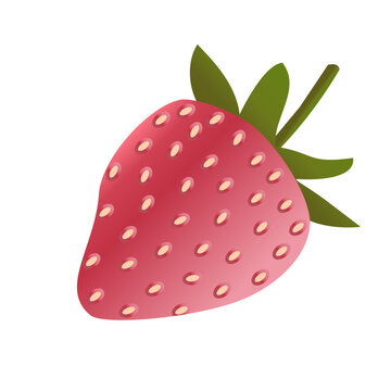 illustration vector graphic of pink strawberry 3D effect  isolated on white background