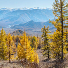 Autumn view, forest and mountains