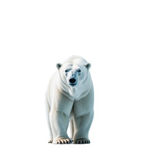 Fototapeta premium Polar Bear Ice Wanderer Greenland