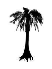 silhouette of trees, a black and white drawing of a palm tree