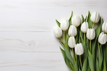 White tulips isolated on white wooden background