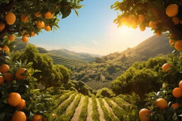 Fotobehang Generative ai of orange grove and lush orange trees. Thick and dense, stretching to the horizon. © P Stock