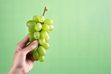 Hand holding green grapes bunch isolated on green background with copy space