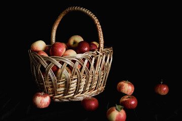 ripe apples in a wicker basket on a black background. gifts of autumn. harvest