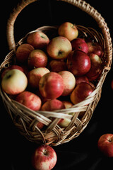 ripe apples in a wicker basket on a black background. gifts of autumn. harvest