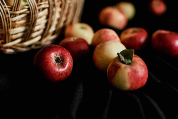 ripe apples in a wicker basket on a black background. gifts of autumn. harvest