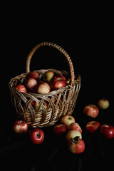 ripe apples in a wicker basket on a black background. gifts of autumn. harvest