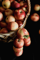 ripe apples in a wicker basket on a black background. gifts of autumn. harvest