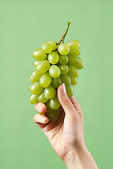 Hand holding green grapes bunch isolated on green background