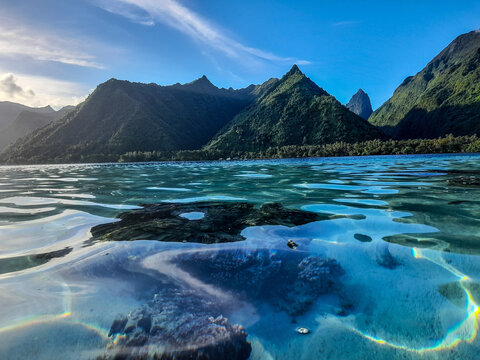 Beautiful nature 