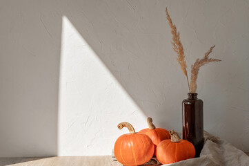 Minimal aesthetic autumn still life with pumpkins and vase with grass on table, with sunlight shadow on empty wall background. Rustic kitchen vegetable decor, food product placement, showcase