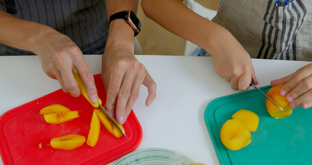 Mother and daughter making fruit salad in kitchen at home