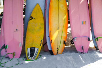 Colorful surfboards lined up for rent on the soft sandy shores of Tanjung Aan Beach, Lombok