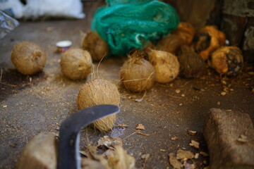 traditional coconut industry, machetes and coconuts that are ready to be broken for processing