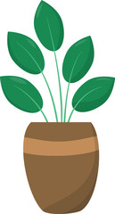 a plant in a pot on a white background