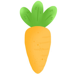 carrot vegetable