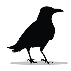 Crow Silhouette, cute Crow Vector Silhouette, Cute Crow cartoon Silhouette, Crow vector Silhouette, Crow icon Silhouette, Crow Silhouette illustration, Crow vector																			
