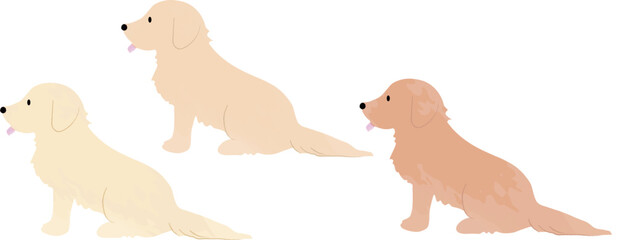 手書き風のシンプルなかわいいゴールデンレトリバーのイラスト おすわり 主線なし