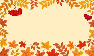 Naklejka na ściany i meble Autumn banner template with orange, yellow maple leaves and branches of ripe red rowan. Hand drawn vector illustration isolated on light background. Modern flat cartoon style.