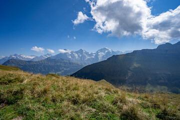 Wetterhorn, Eiger, Mönch Wengen Sommer von Sulegg aus 