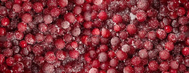 Frozen Lingonberry, Iced Cowberry, Snow Cranberry, Red Viburnum Berries, Frozen Lingonberry