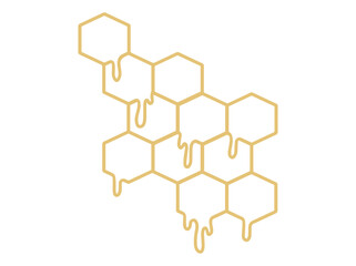 Bee Honeycomb Cells Illustration
