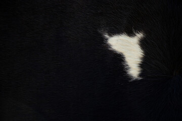 Short black wool with a white spot as background,woolen black carpet,animal hair