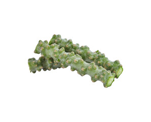 Tinospora cordifolia herb transparent png