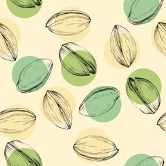 Pistachios drawn sketch. Seamless pattern. Vintage style. Botanical drawing. Nut collection.