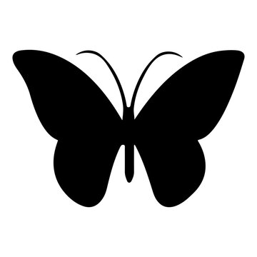 Butterfly Silhouette Element
