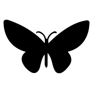 Butterfly Silhouette Element