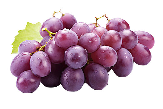 Dewy Purple Grapes