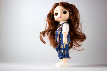 doll doll with long hair on white background in studio photo.