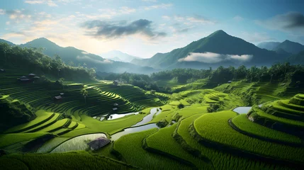 Fototapeten Explore the intricate beauty of a lush rice paddy as it approaches harvest time. The detailed photography reveals the ripening rice grains, the reflective paddies, and the diligent work of farmers. © CanvasPixelDreams