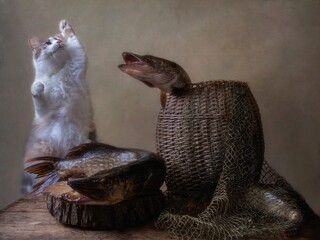 Funny  cat and a good catch of pike fish