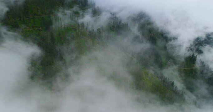 Drone enters inside clouds covering forest trees in Nepal. Monsoon Season gives chilly vibes with horror sensation. Green landscape is also seen 4K video