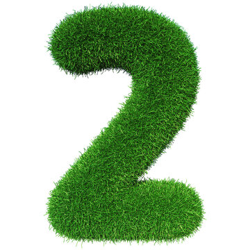 Grass Number 2 - 3d Rendering