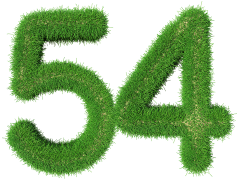 grass number 54 - 3d green number