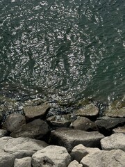 light reflecing on the waves sea